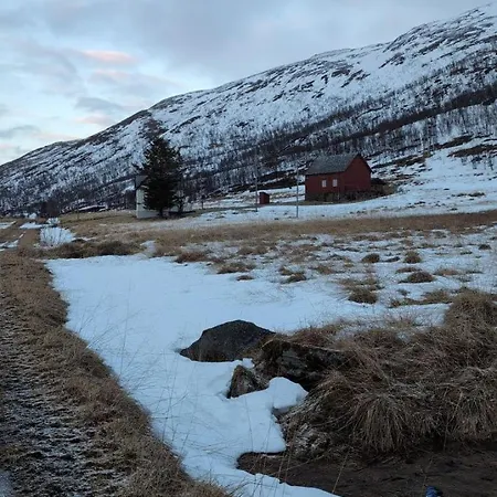 Solvoll Sor-grunnfjord Skogsfjord